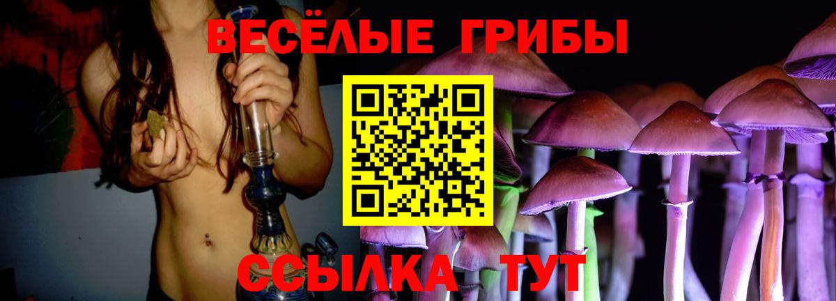 Егорьевск  Псилоцибиновые грибы ЛСД  Галлюциногенные грибы MAGIC MUSHROOMS  Вход с VPN 